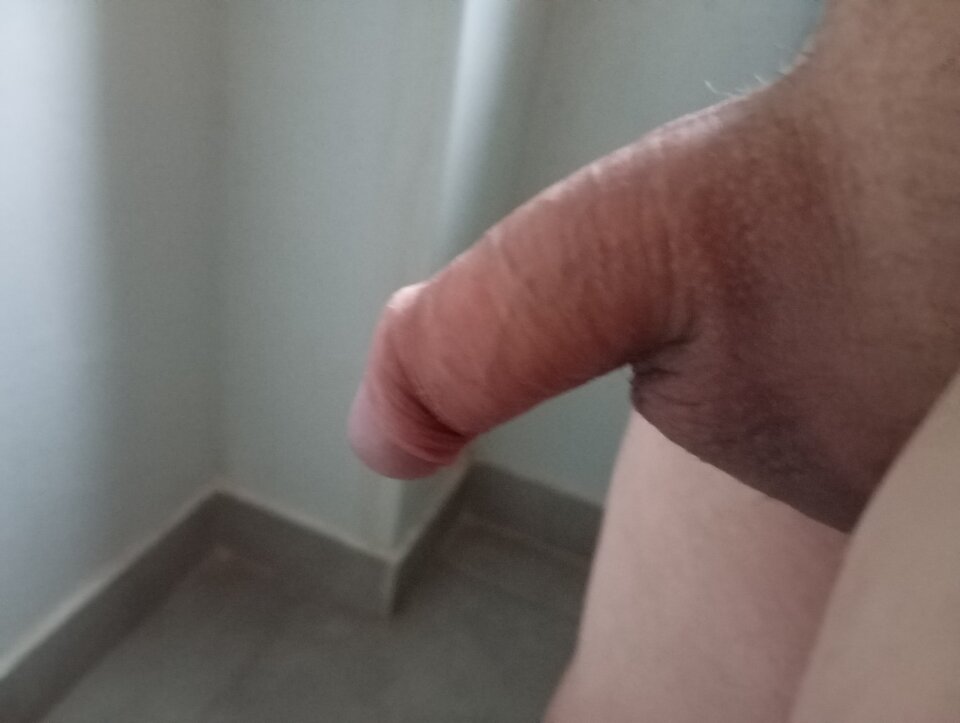 1000000206.jpg - Mrowa345