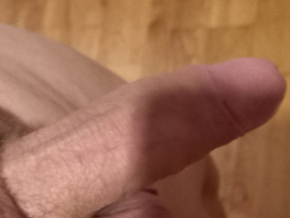 20241109_151317.jpg - Abi111