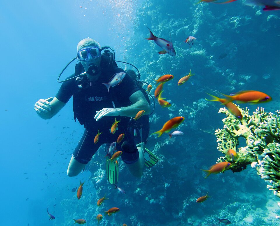 1001443317.jpg - Roberto35gd