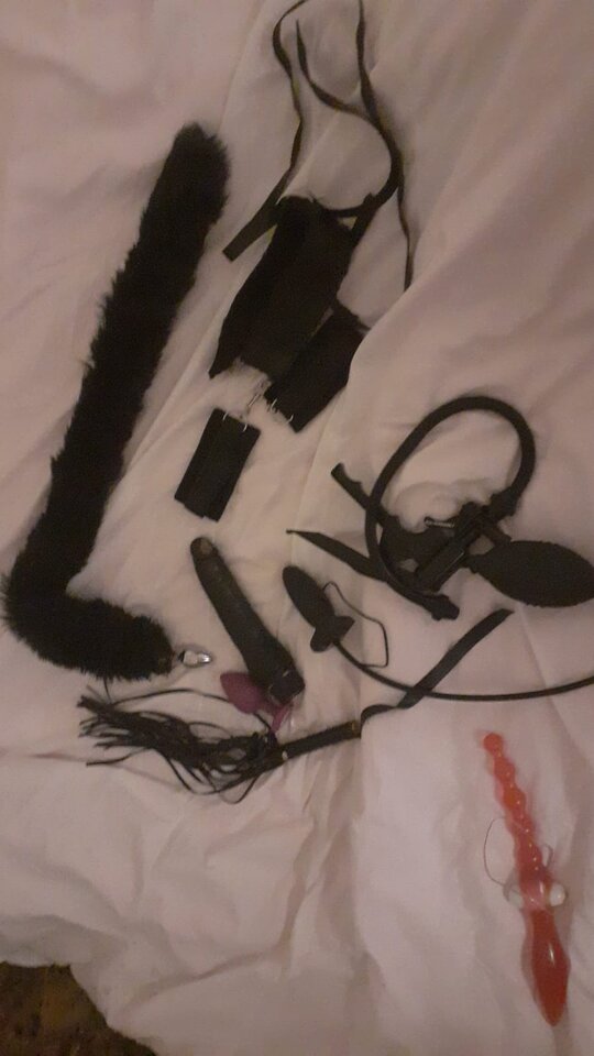 Zdjęcie WhatsApp 2024-11-06 o 23.25.48_82226a5f.jpg - parkapiss1