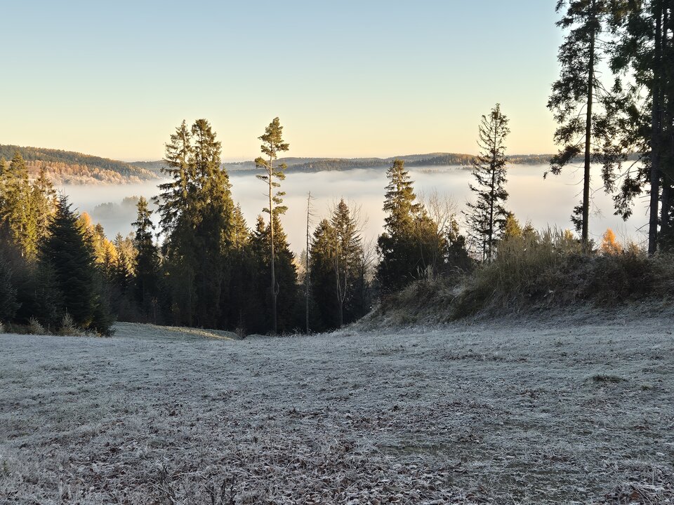 1000020637.jpg - DelikatnyBrutal