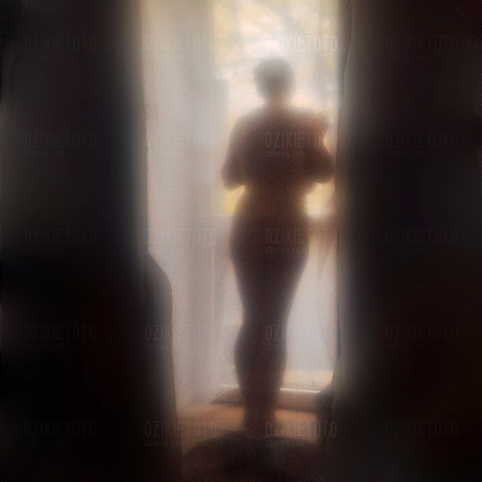 34-26-938.jpg - DzikieToto