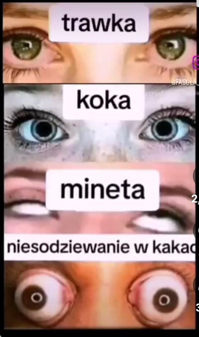SzukamPary17