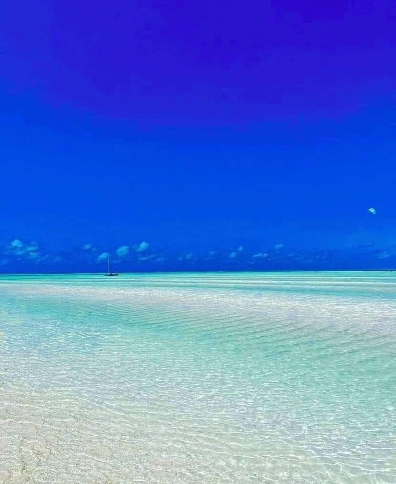 1F7BD3A1-7B5B-4A3A-98FA-ACA60A1858A8.jpeg - TulsaKingg