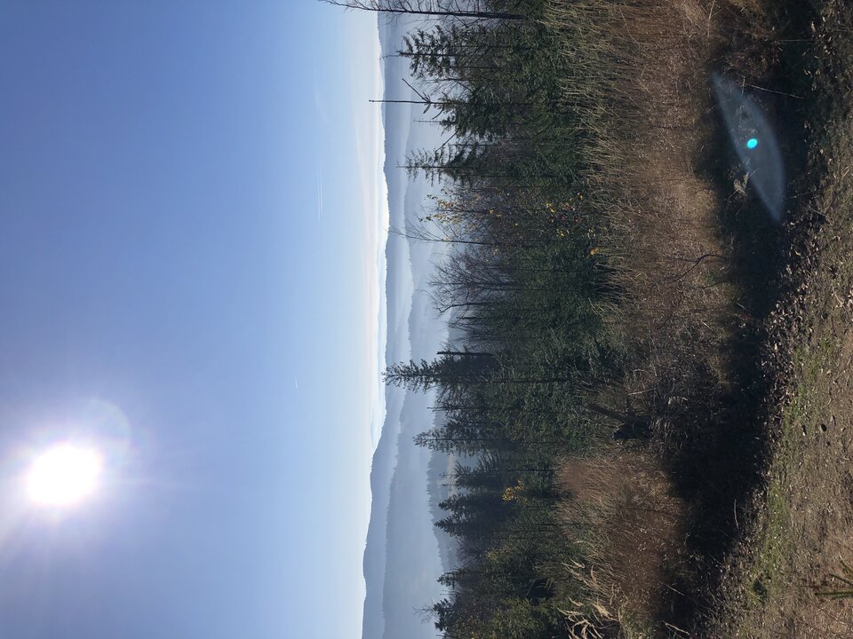 image.jpg - Lucyfer79wr