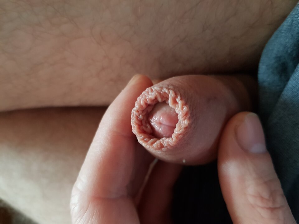 20241110_113224.jpg - ary7