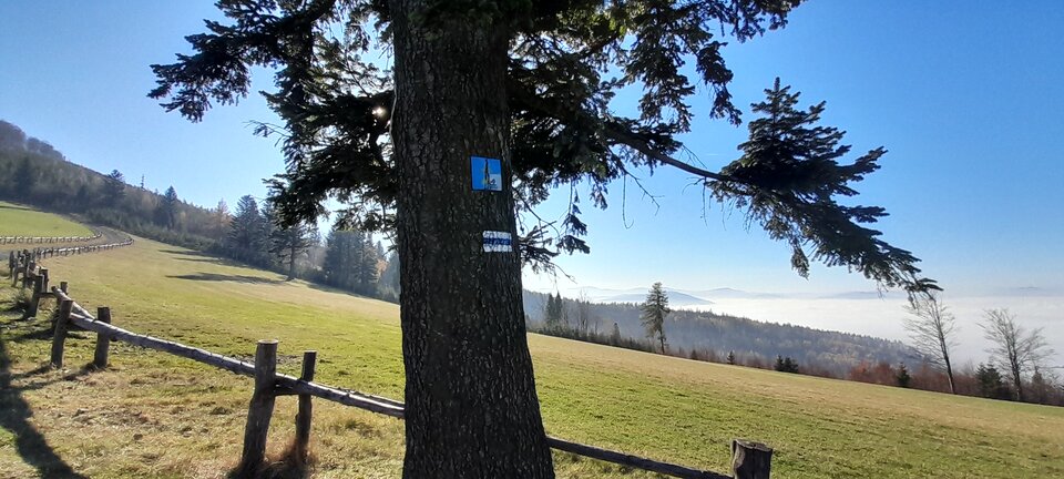 1000005865.jpg - Tantal1977