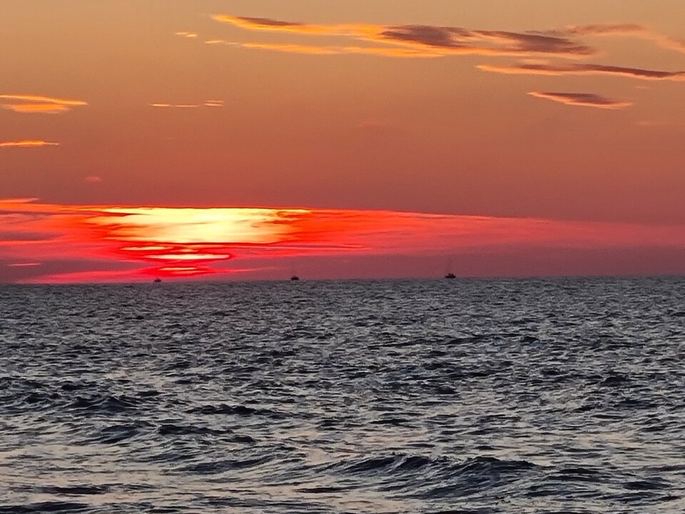 1000000568.jpg - Chojnic