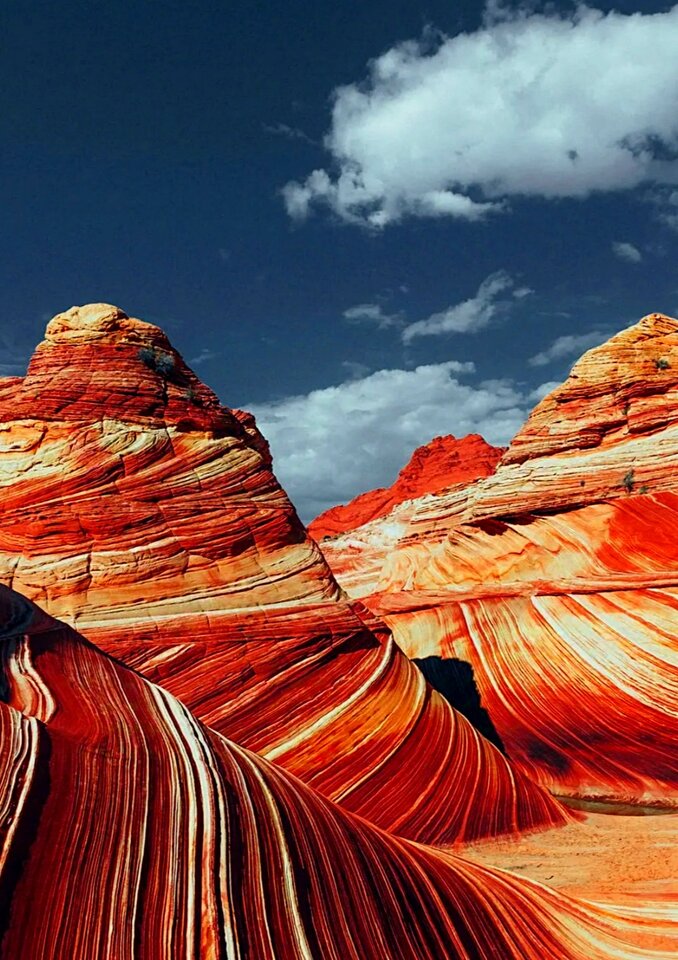 Niesamowita natura - phenisex