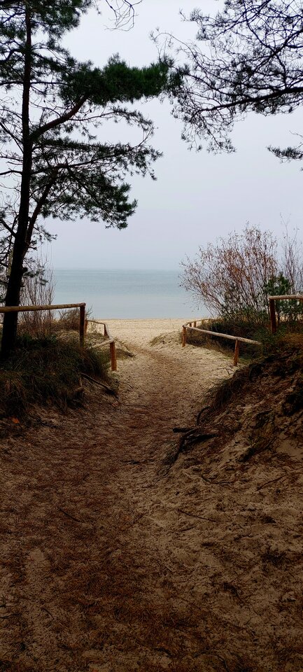 1000050268.jpg - Gregorrr5