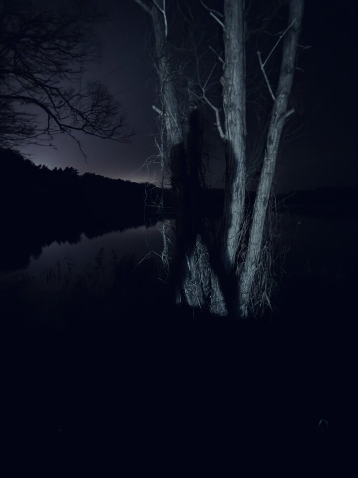 IMG_1351.jpeg - Daamik