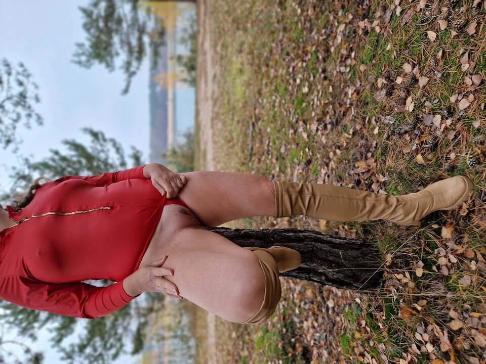 20241107_113321.jpg - beforemidnight76a79