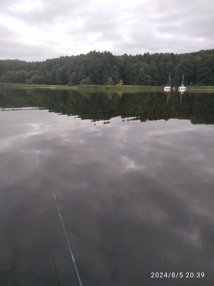 IMG_20240805_203942.jpg - Lickiper