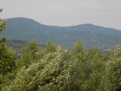 DSCN4398.JPG