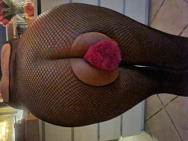 panipangdynia