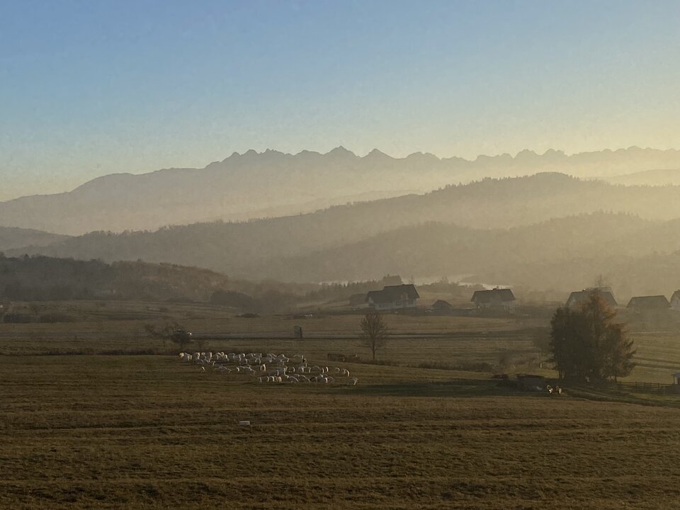 IMG_9600.jpeg - Majkel26666