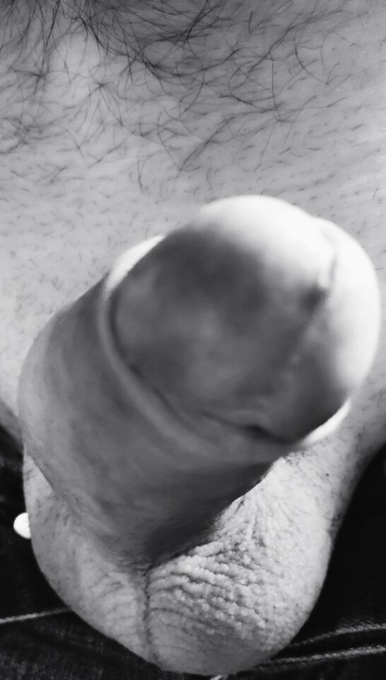 1000043630.jpg - curious44