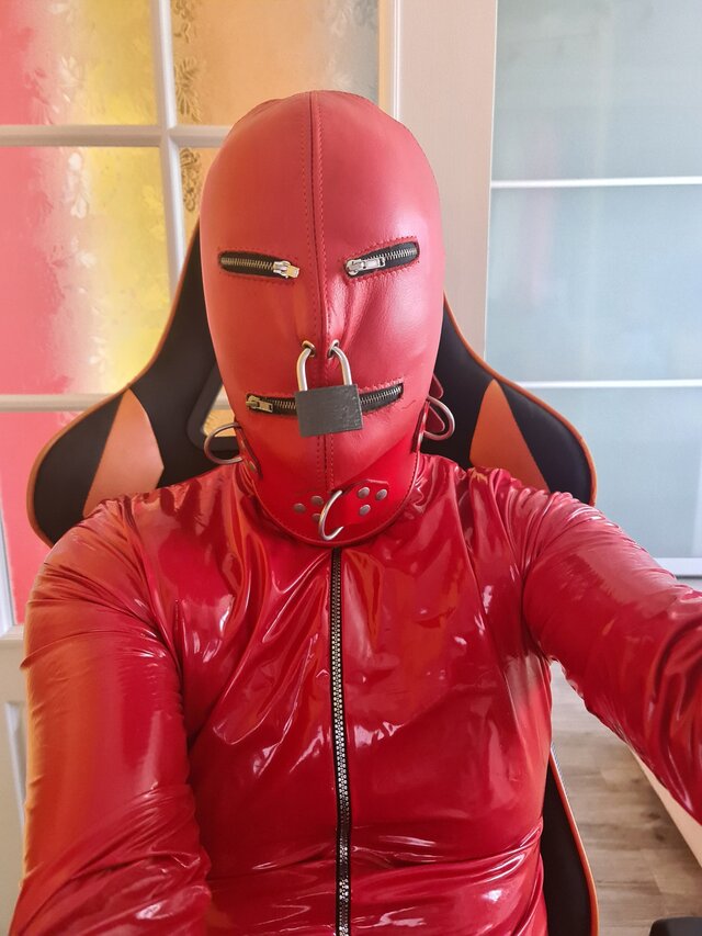 TransAngelinaKatowice