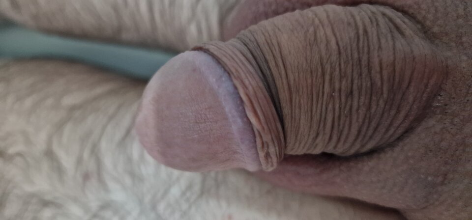 17314416729596325831274570768689.jpg - robin266